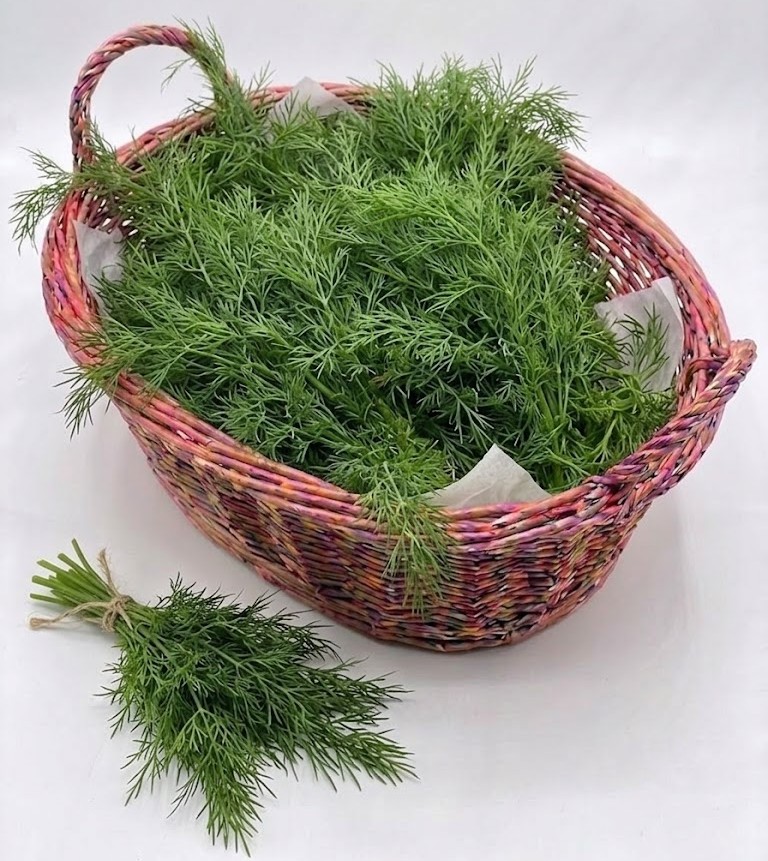 Dill /PCS
