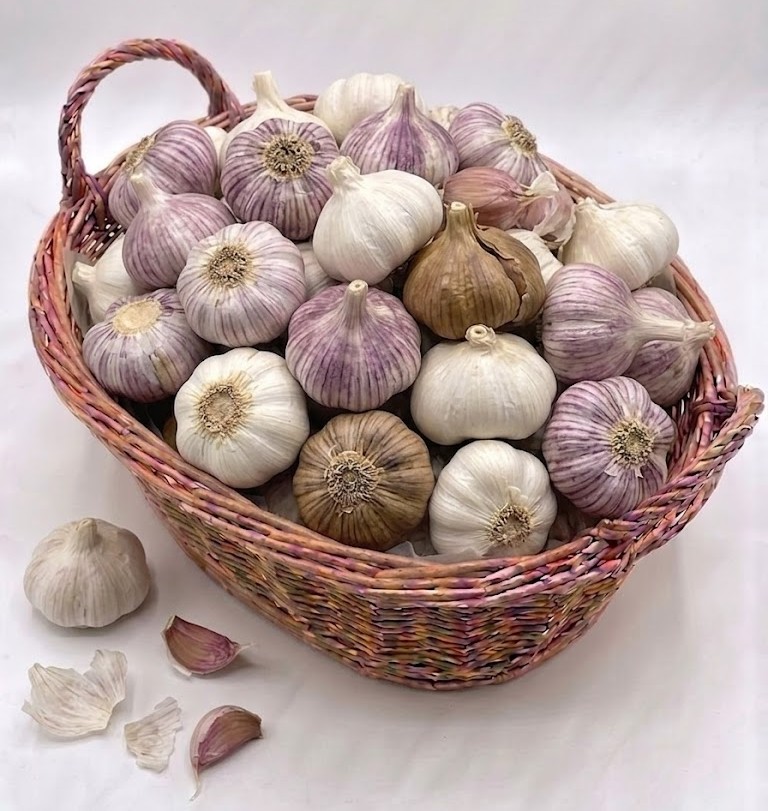 Garlic /KG