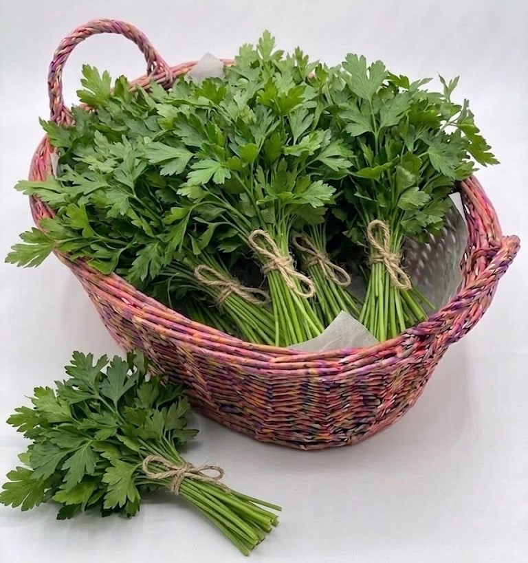 PĂTRUNJEL /BUC