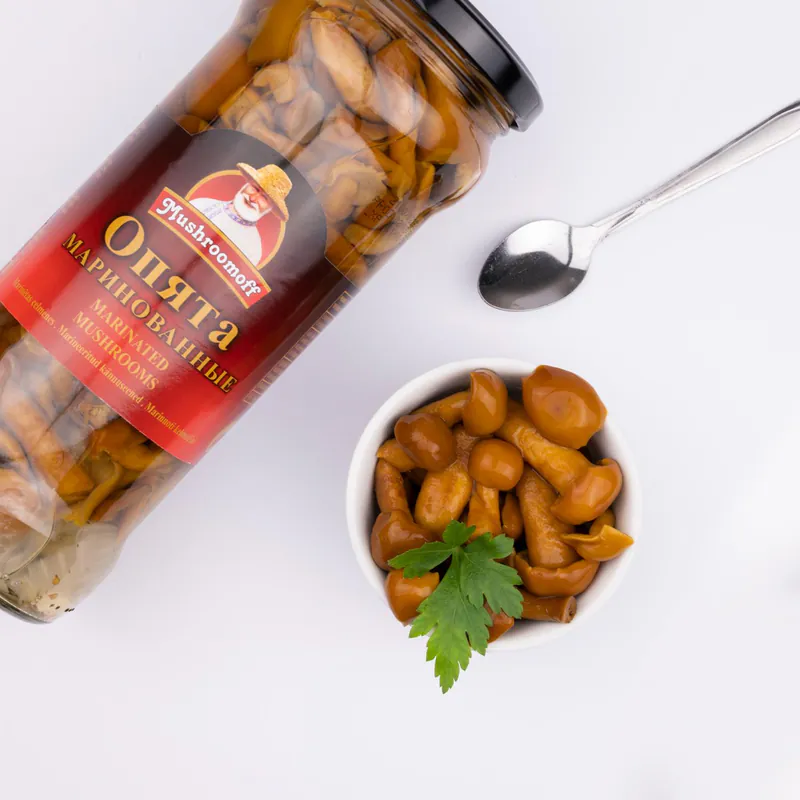 Honey Fungus Marinated
