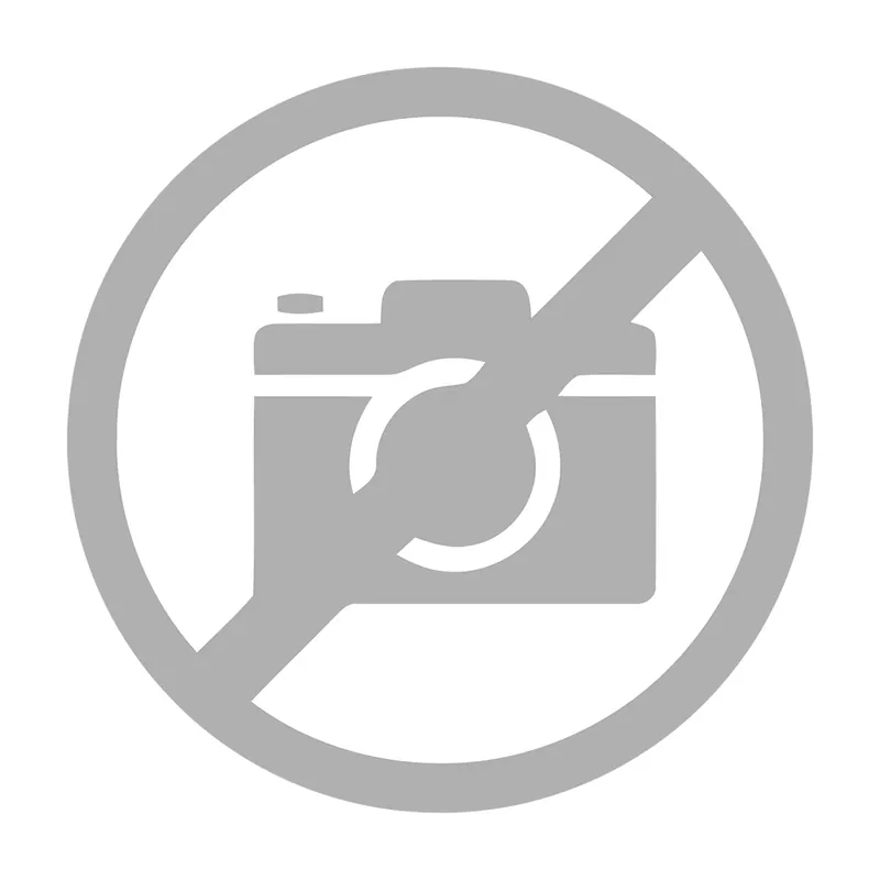 BOMBOANE GRILIAJ DIN SEMINTE DE FLOAREA-SOARELUI /KGVS